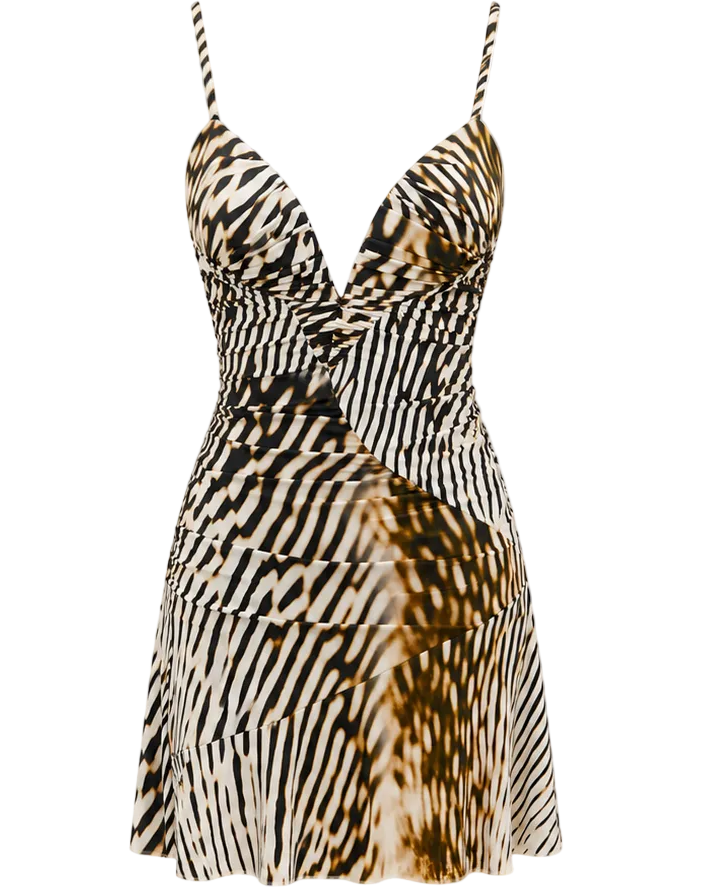 Animal Print Ruched Plunge Mini Dress