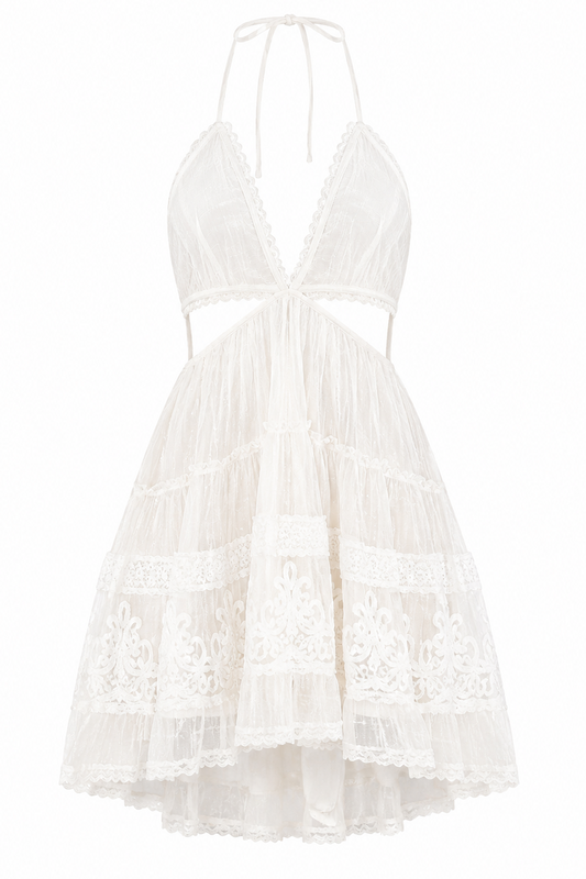 Ame Mini Dress