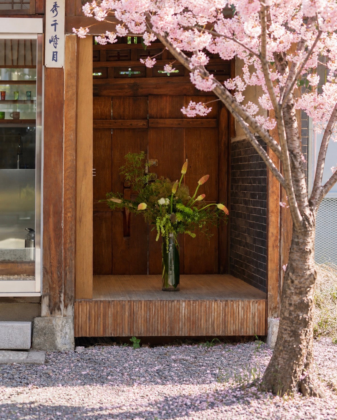 Seoul in spring, the home of Sakura K