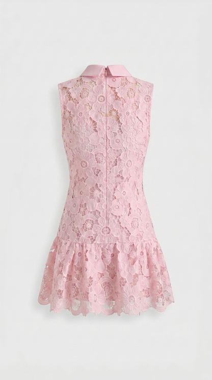 Mina Pink Floral Lace Drop-Waist Mini Dress