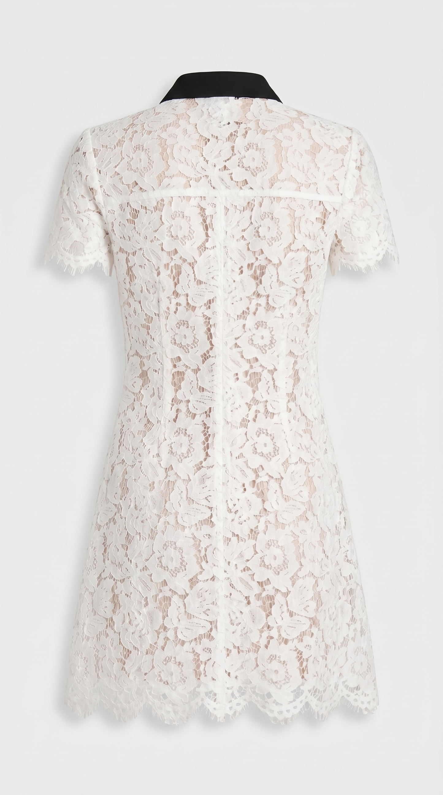 Pura - Contrast-Piped Floral Lace Mini Dress view 5