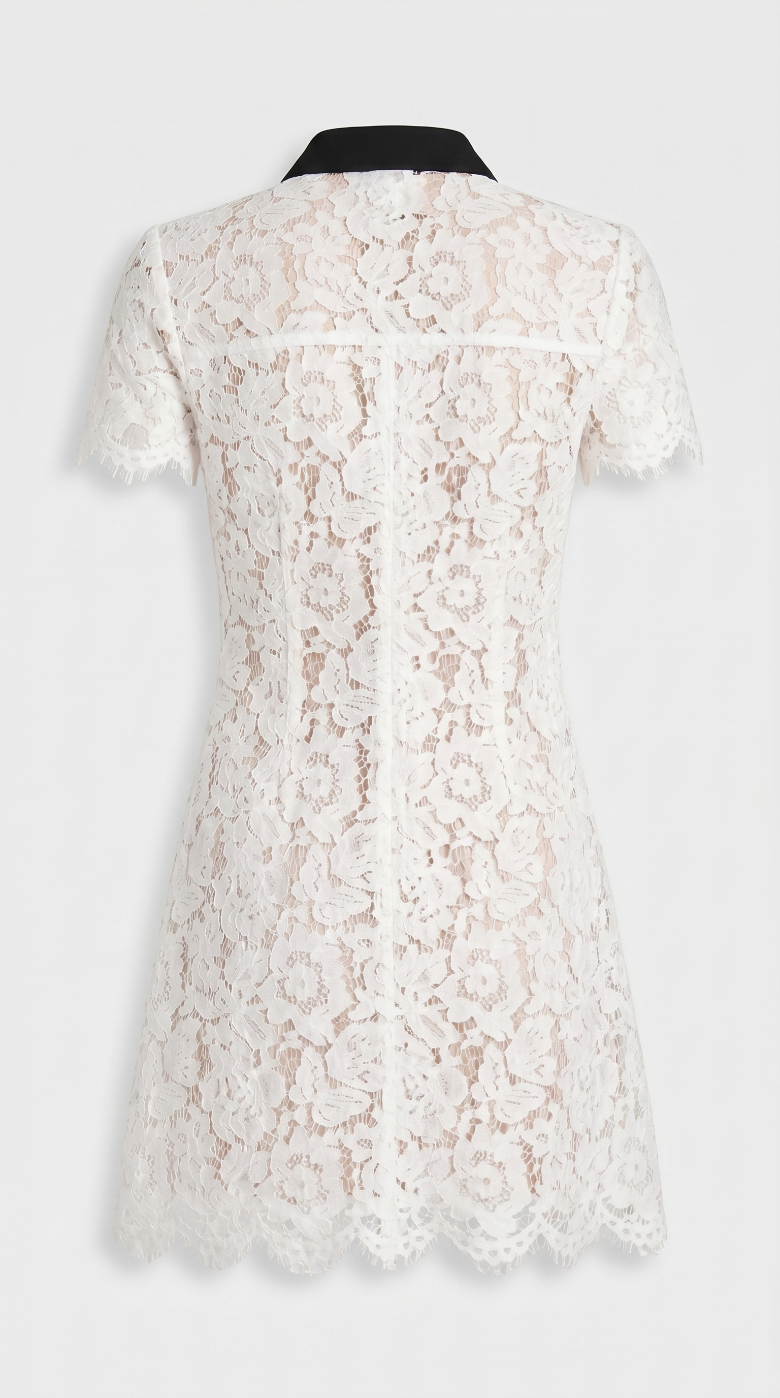 Pura - Contrast-Piped Floral Lace Mini Dress view 5