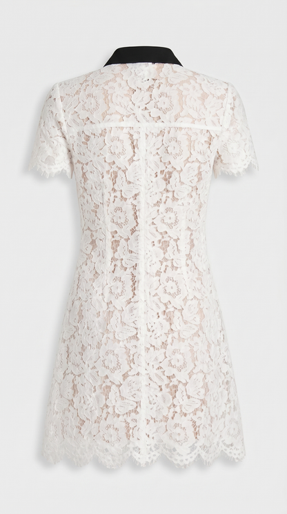 Pura - Contrast-Piped Floral Lace Mini Dress view 5
